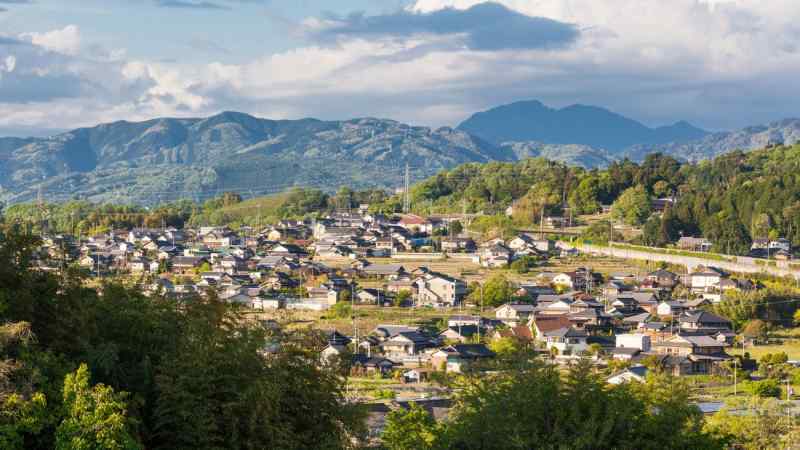 Uma floresta encantada numa ilha no Japão - Mundo - SAPO Viagens