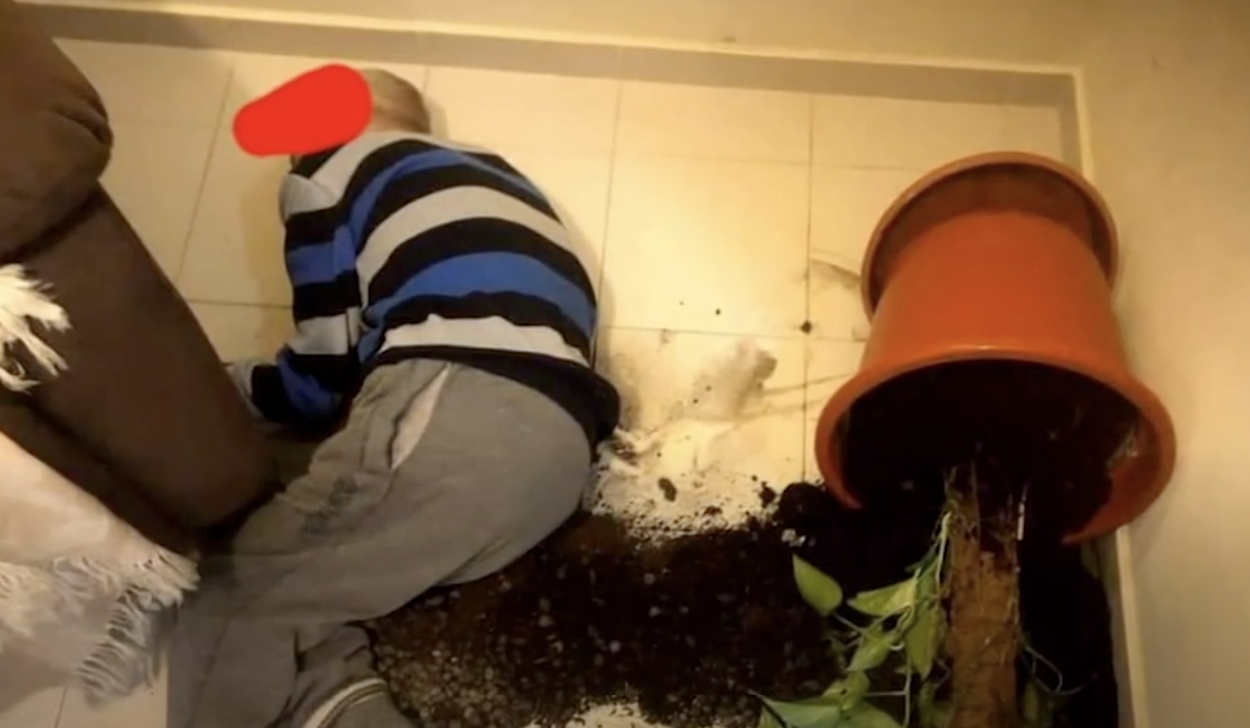 Lar de Boliqueime. Novas imagens revelam mais utentes vítimas de maus tratos