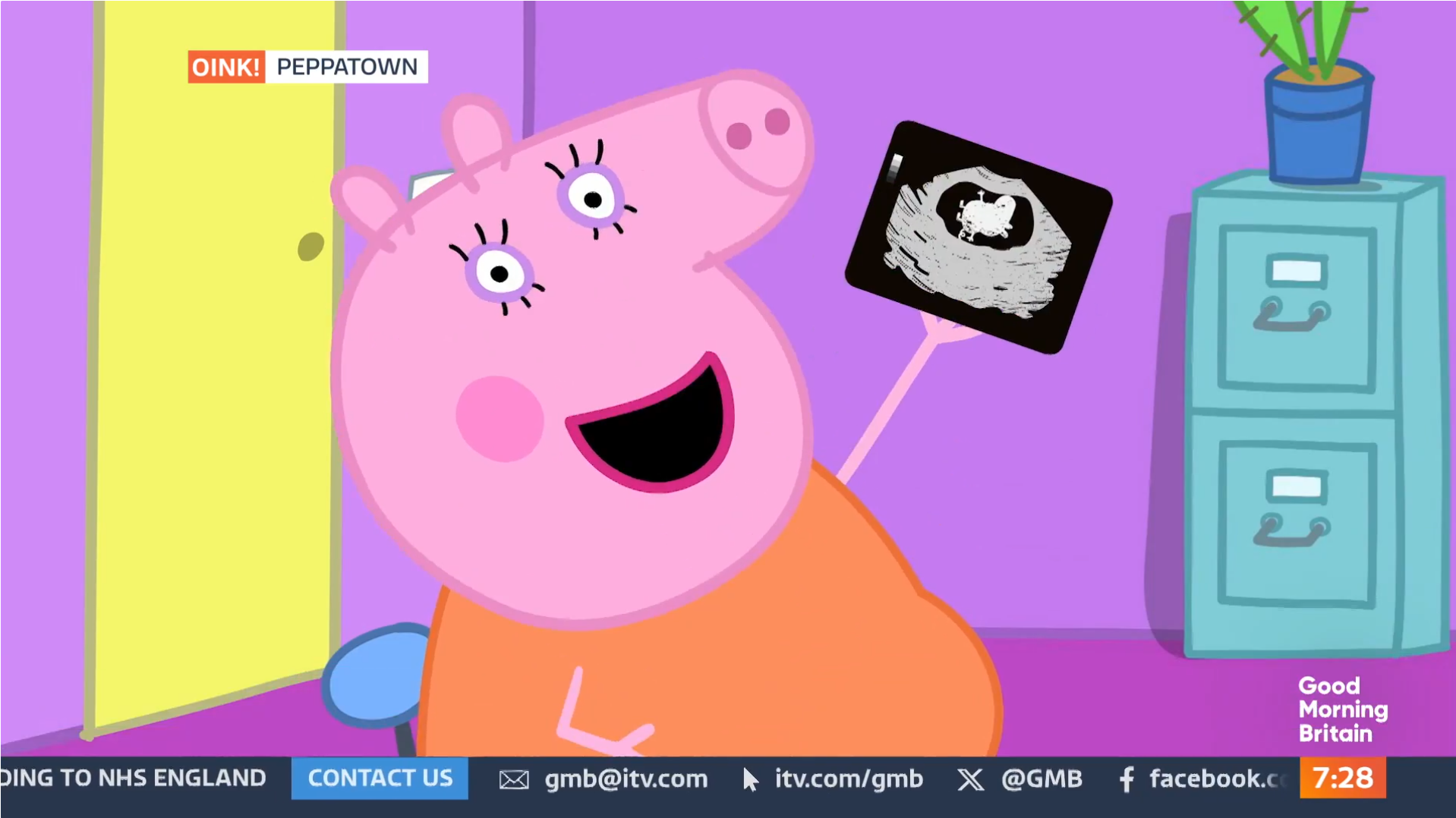 Mamã Porquinha entra em direto na televisão para revelar que está grávida. Veja o vídeo amoroso