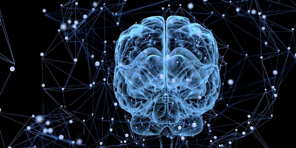 DeepMind: nova IA consegue determinar a estrutura de uma proteína em conquista científica revolucionária