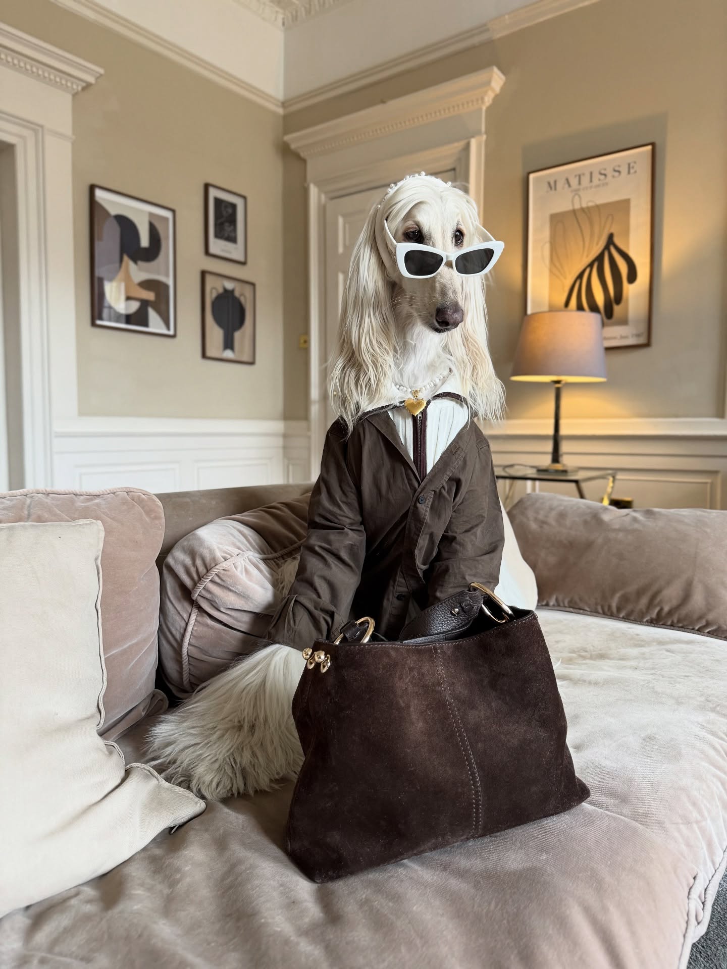 Mais estilo numa pata do que nós no corpo inteiro. 20 looks de Samantha, o galgo afegão mais estiloso das redes