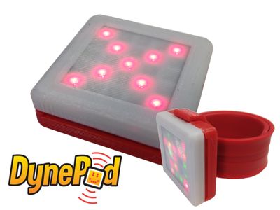 Cerveja ou Cervejaria? A Musa lança-se nos jantares de marisco