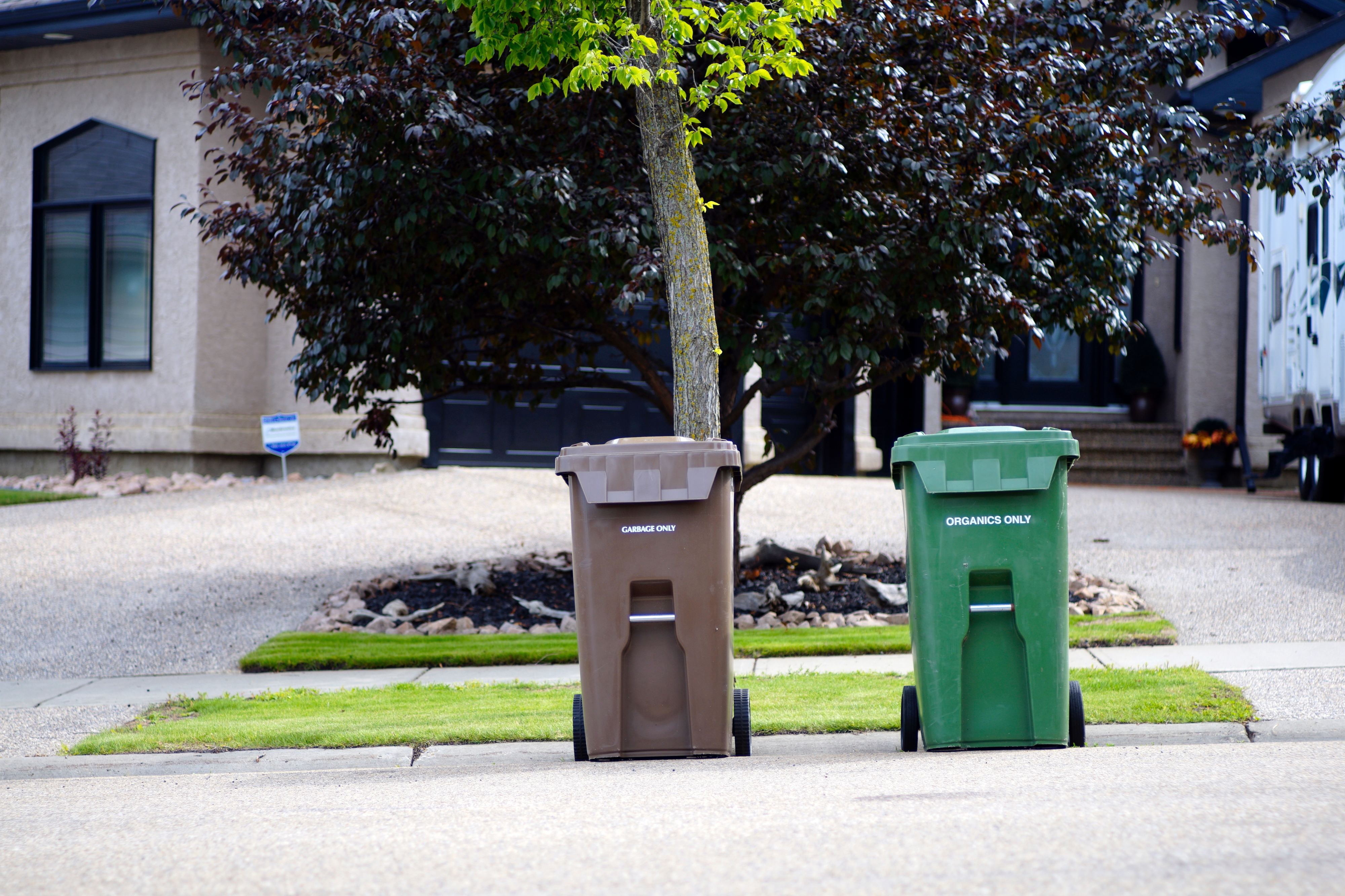 Novo ecoponto. Os contentores castanhos vão chegar à sua porta até 2024