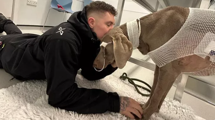 A cadela deste homem ficou doente e as despesas chegaram aos 22 mil euros. Dono estava preparado para vender a casa