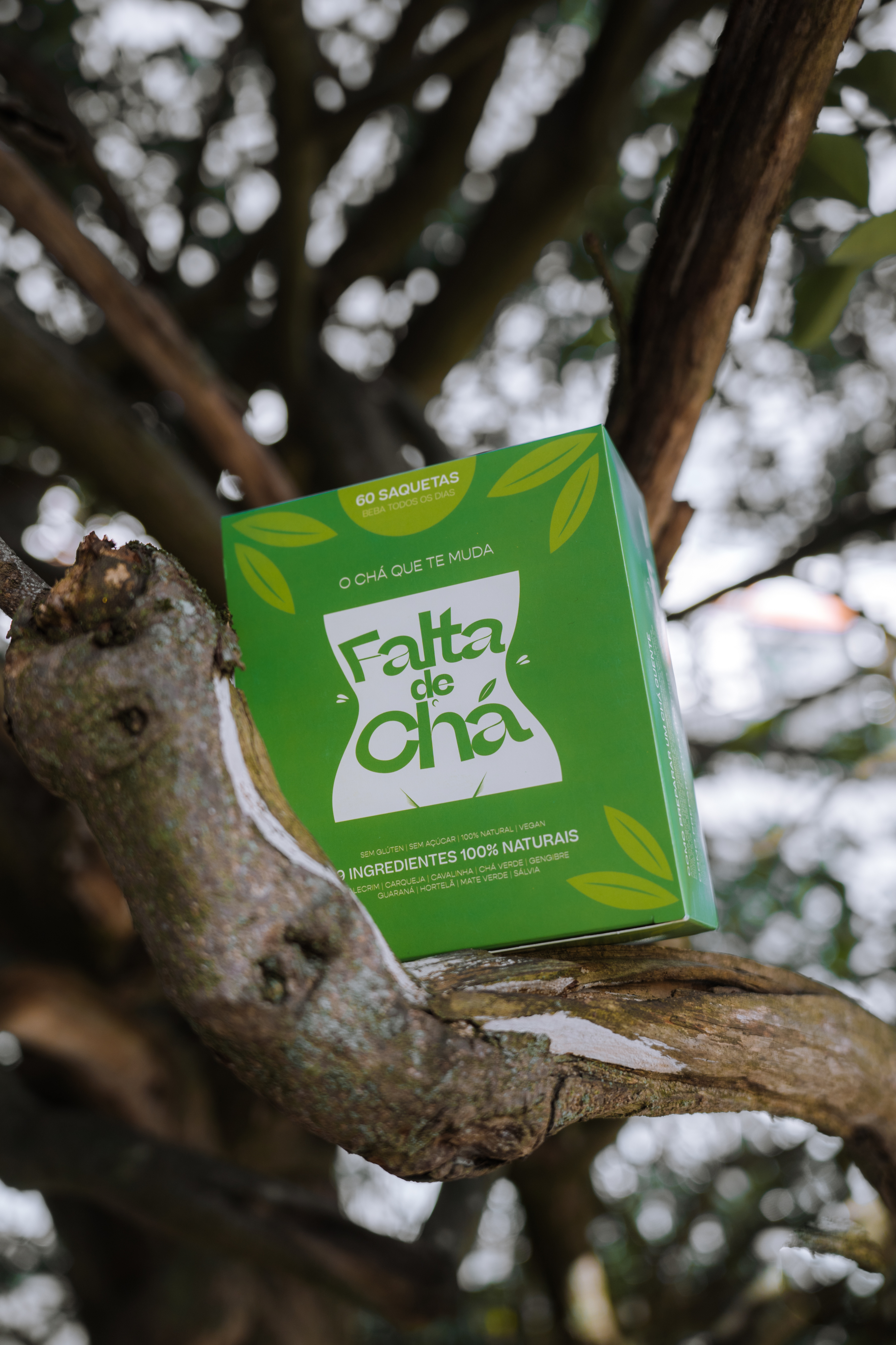 Falta de Chá: O Chá Festivo para Partilhar com Amigos e Família