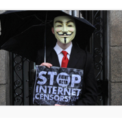 #SetembroSemCarnePt. 5 receitas para conseguir cumprir o desafio