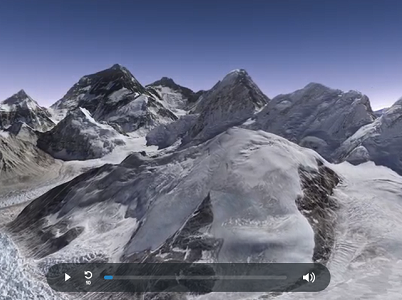 Viral. Cão de serviço de George H.W. Bush fotografado ao lado do caixão